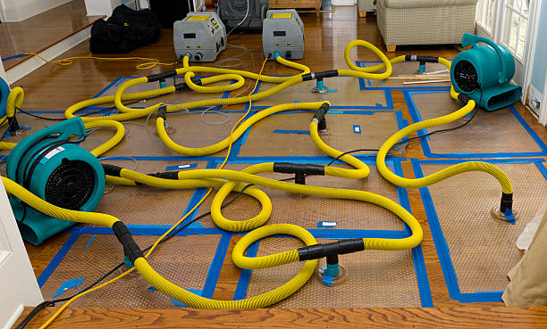 Professional Burst Pipe Water Damage technician working in Hoffman Estates, IL